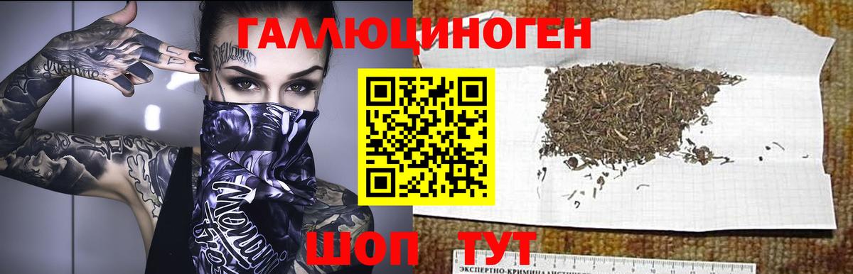 Псилоцибиновые грибы MAGIC MUSHROOMS Корсаков